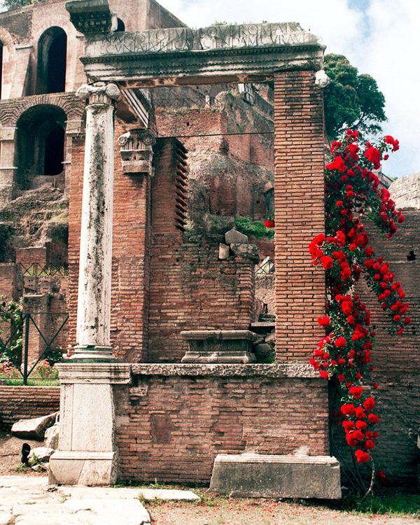 Roman Column at the Forum